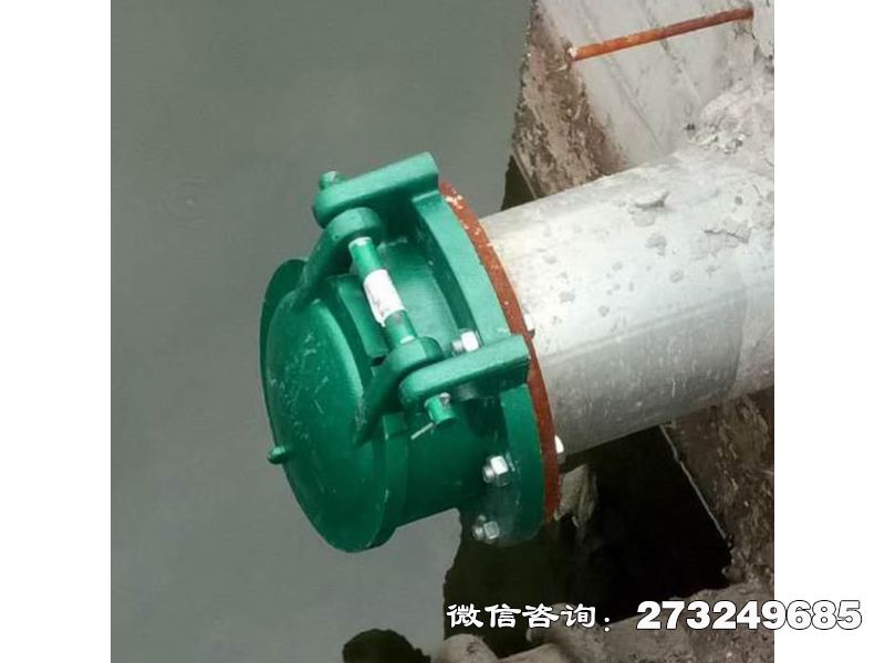 福州污水管道玻璃钢拍门