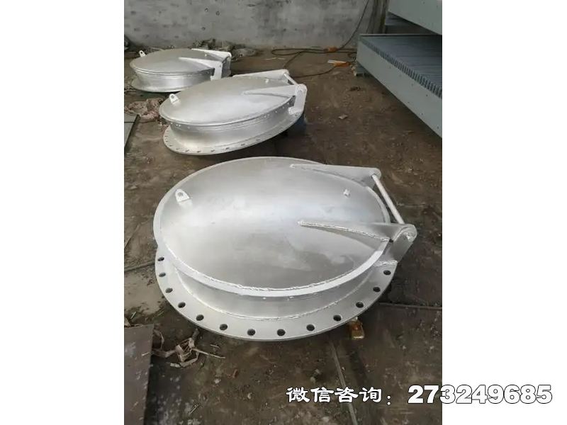 台江防止洪水倒灌不锈钢拍门