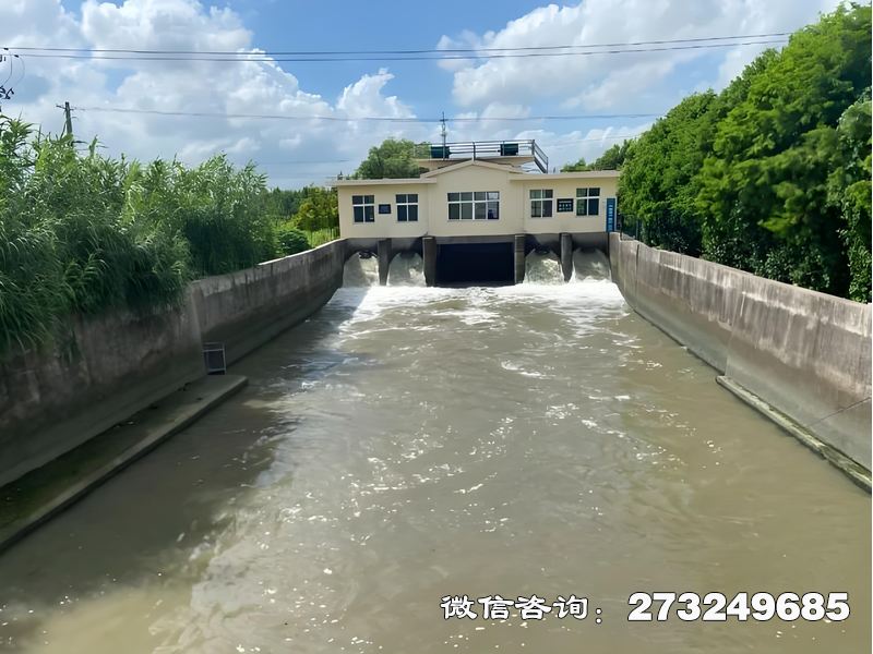 南华县防洪堤圩排站闸门