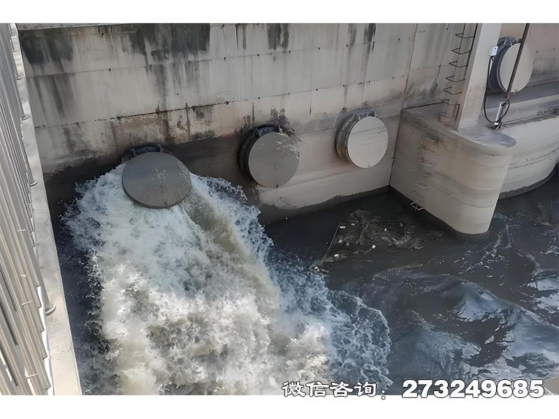 永吉县隧道排水口潮门拍门