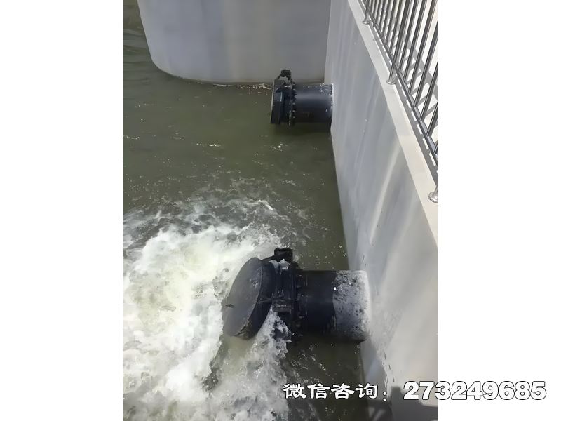 河道潮门拍门