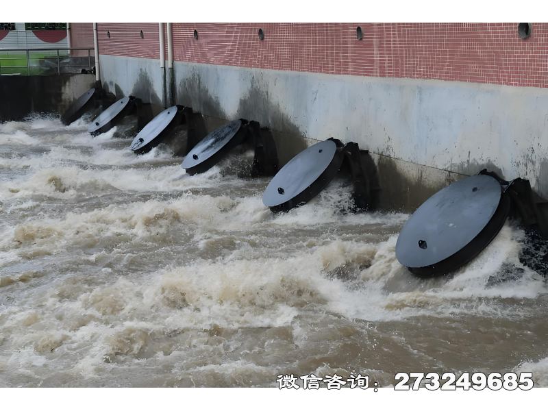 自流井灌溉渠首水闸潮门拍门