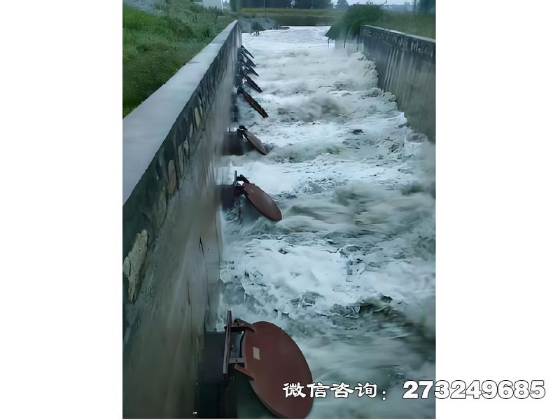 自流井进出口潮门拍门