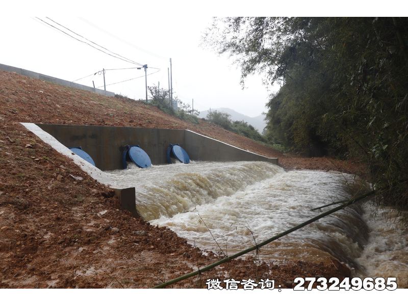 自流井堤坝防潮拍门