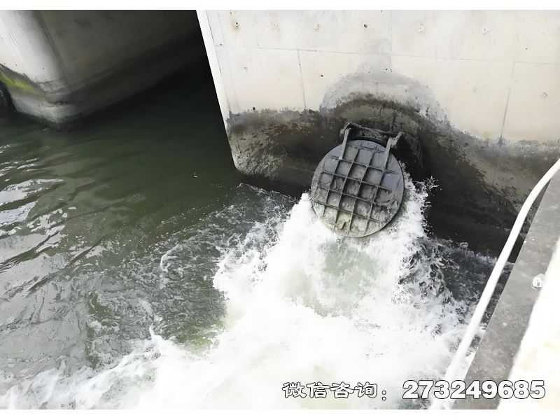 勃利县海洋防潮堤拍门