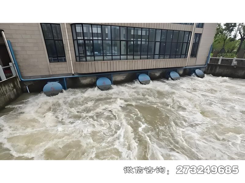 勃利县海防工程拍门
