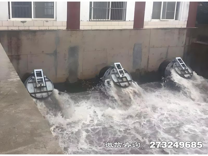 勃利县潮汐能管道拍门