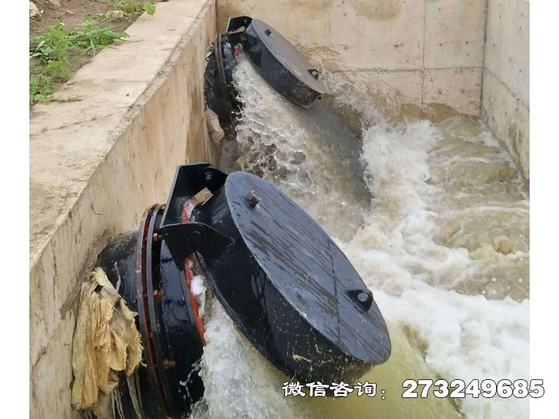 大城海水防倒灌拍门