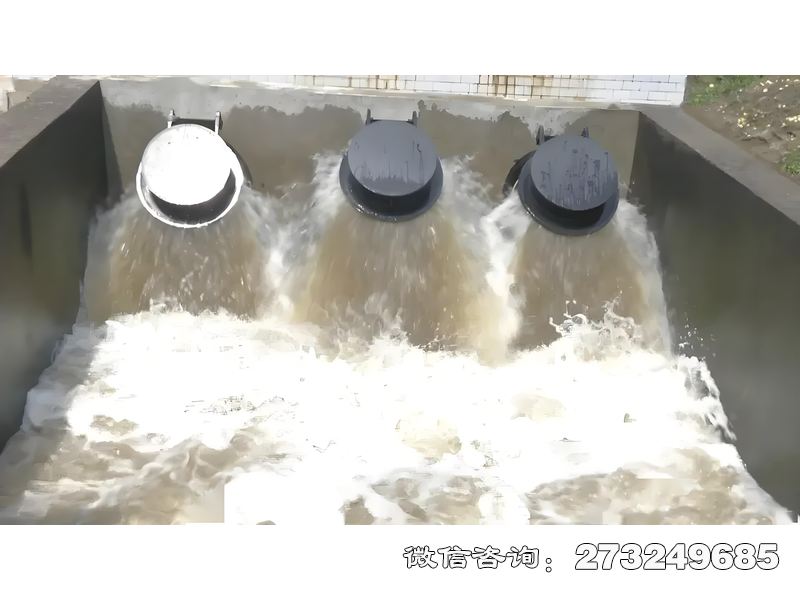 大城河口防潮拍门