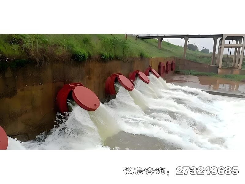 大城涵管排水拍门