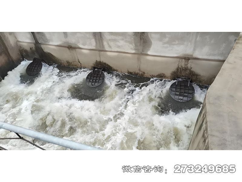 大城海水养殖排水拍门