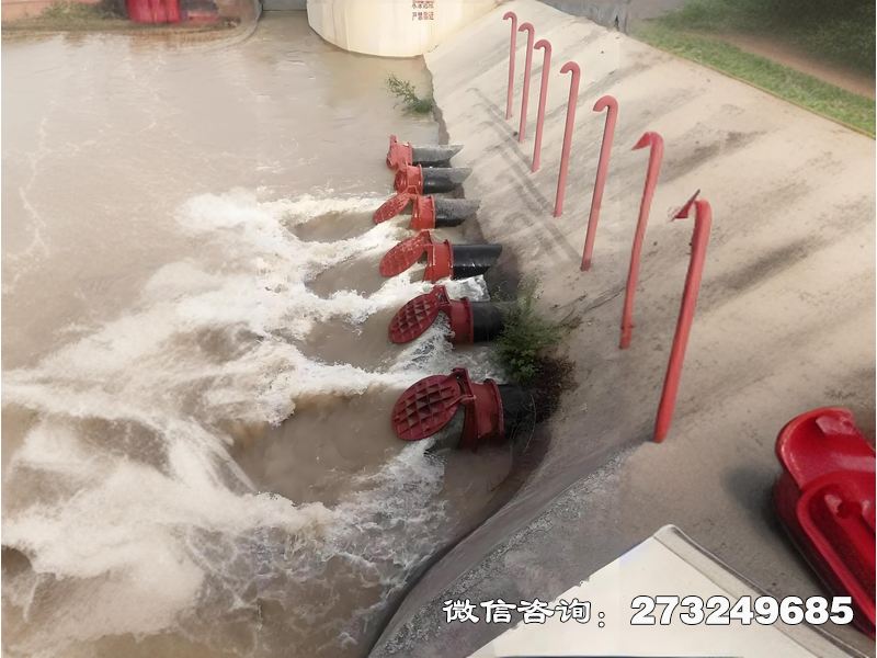 大城海水生态防潮拍门