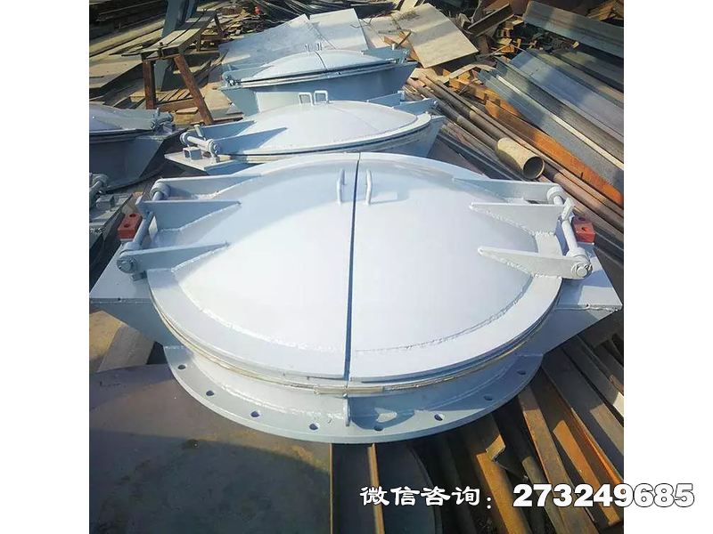 大城水务局钢制防洪拍门