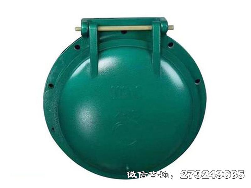 大城铸铁圆型潮汐防倒灌拍门