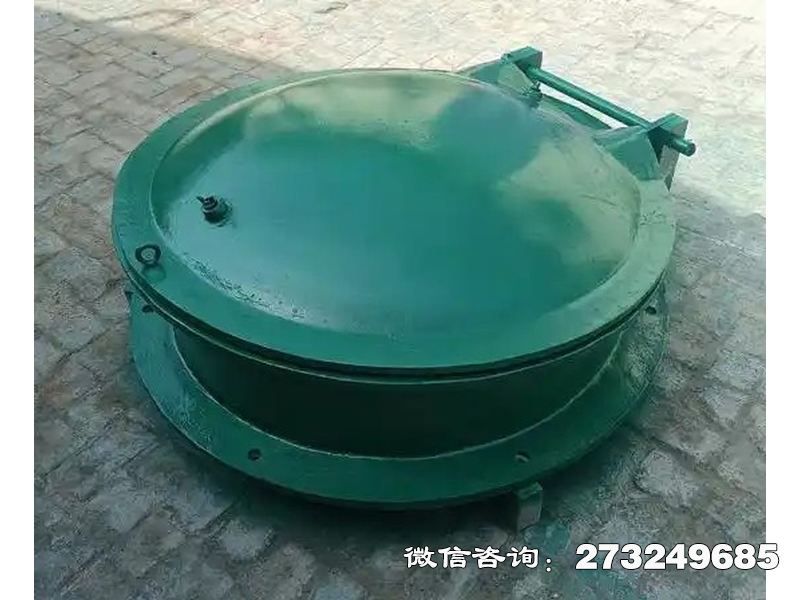 大城铸铁圆型一体化泵站拍门